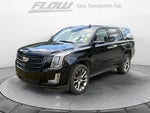 2020 Cadillac Escalade Platinum