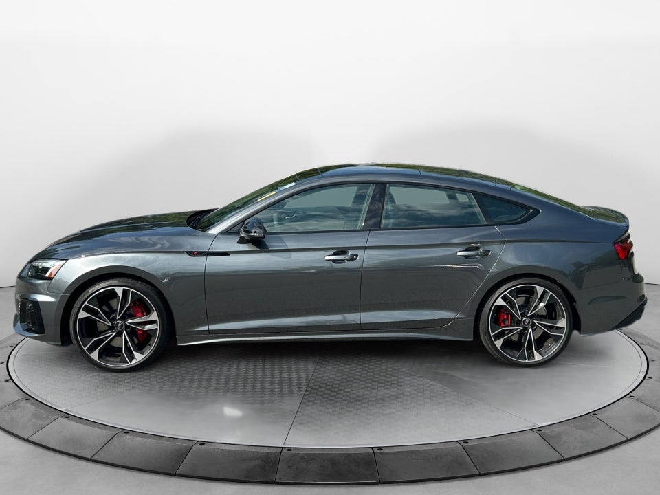 2025 Audi S5 Sportback Premium Plus