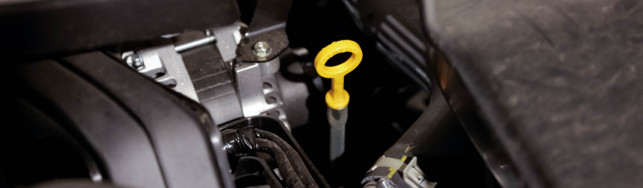 $20 OFF OIL CHANGE